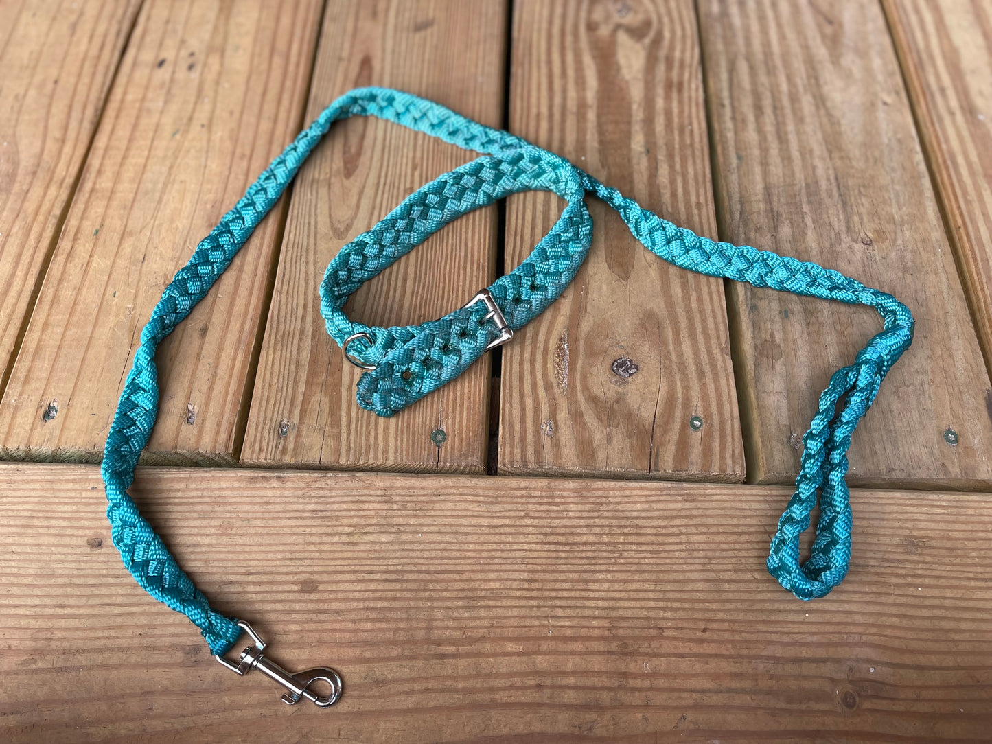 Bully leash